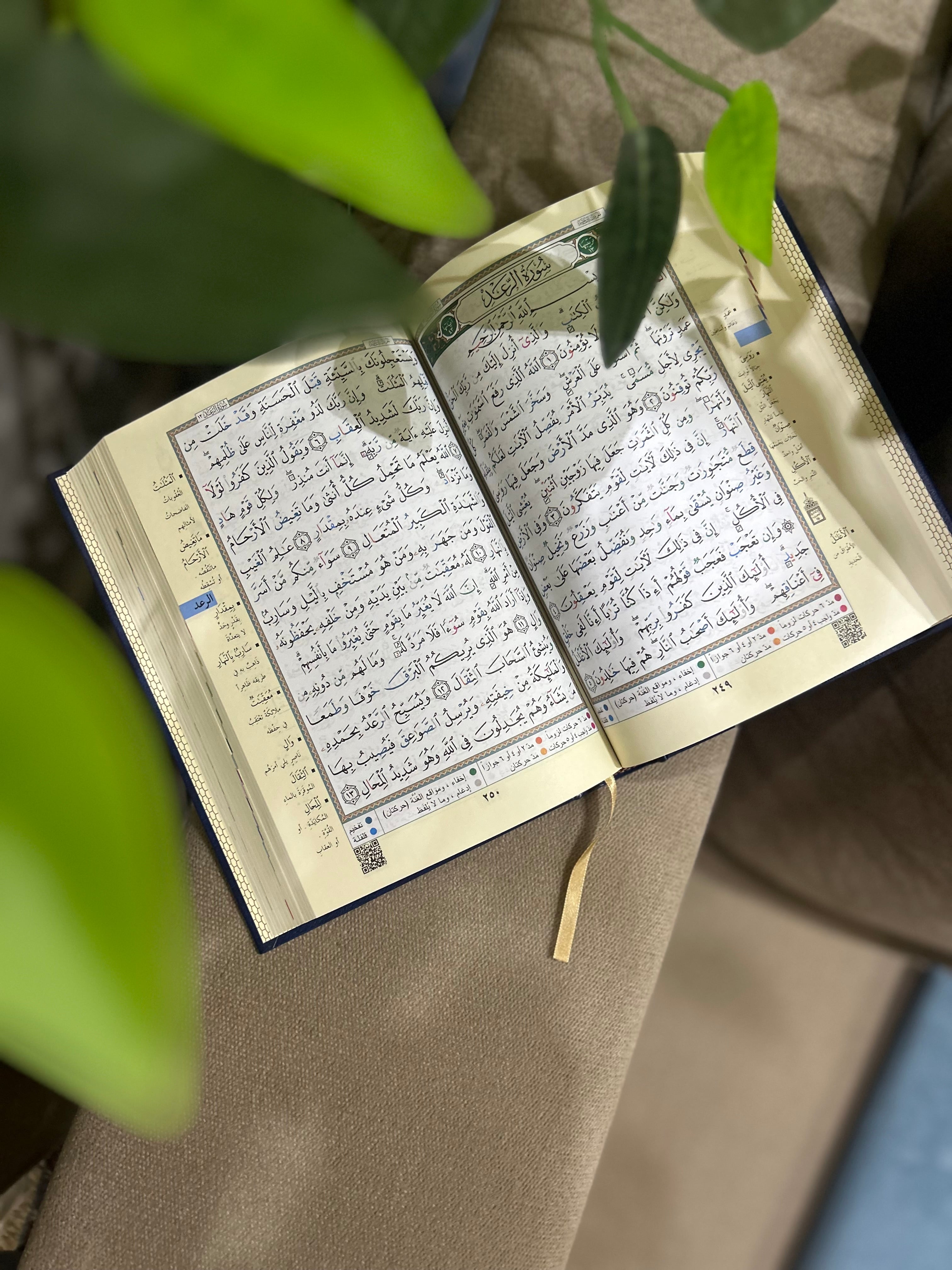 Quran avec Règles de Tajwid (17x24cm) Hafs